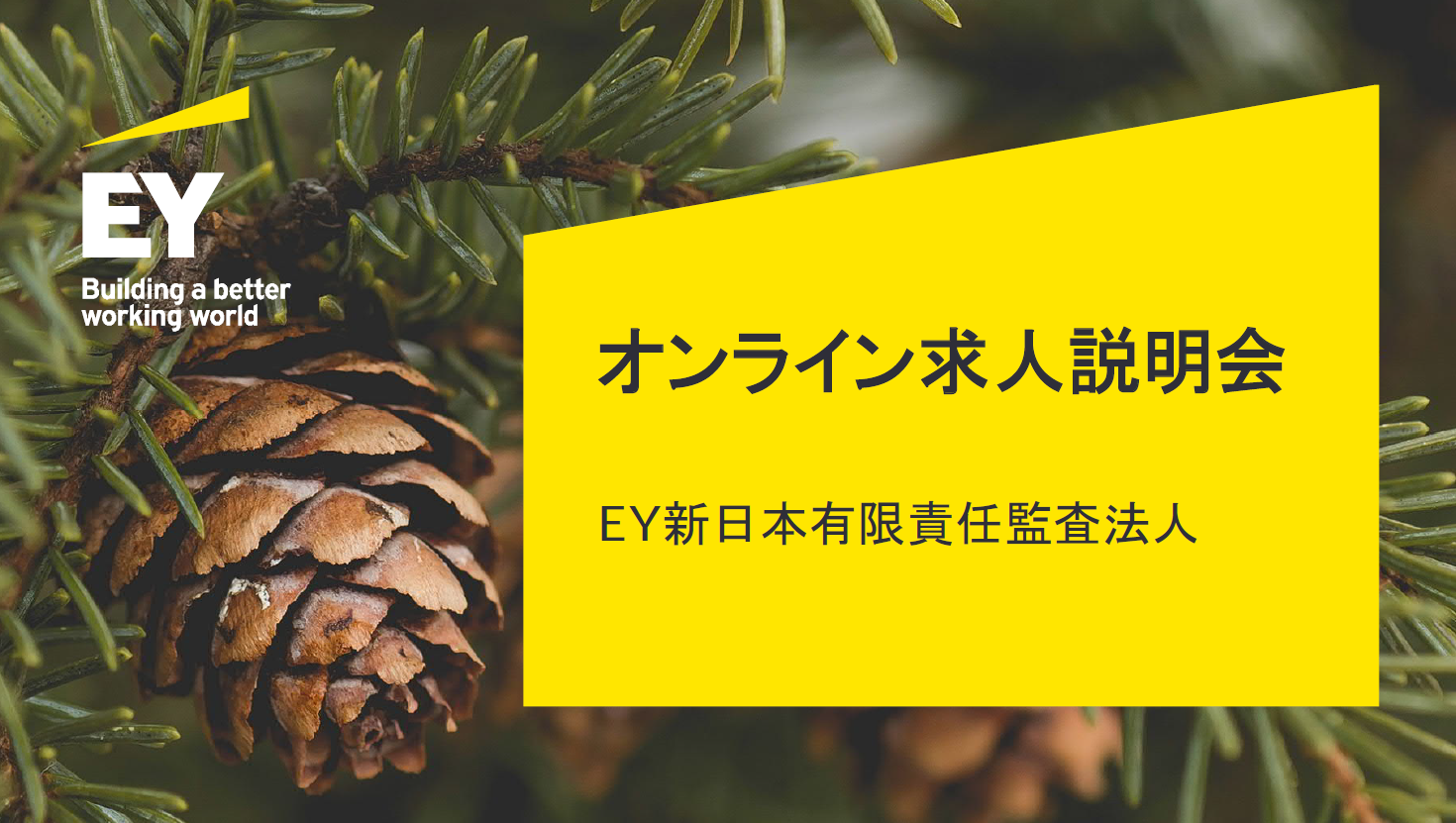 【企業説明会】<午後の部>12:00~13:00 EY新日本有限責任監査法人